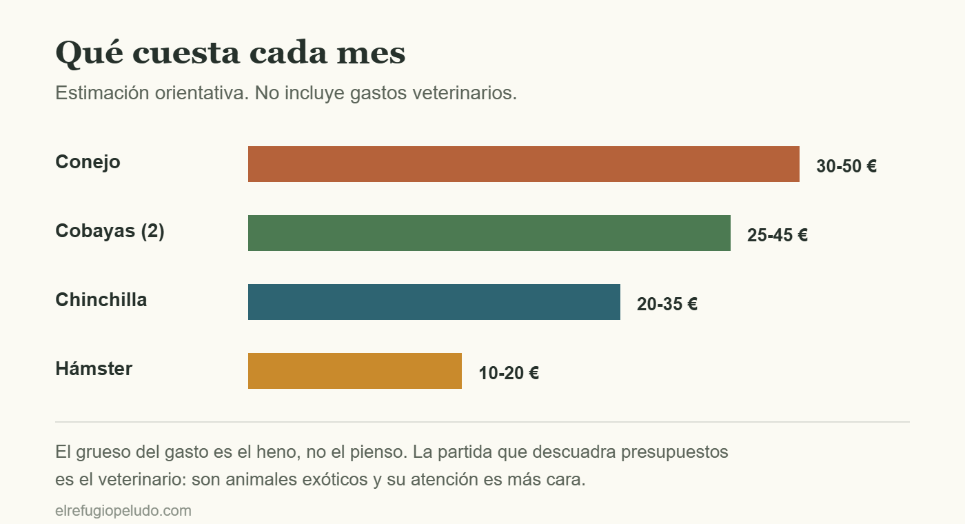 Gráfico del gasto mensual estimado de conejo, cobayas, chinchilla y hámster