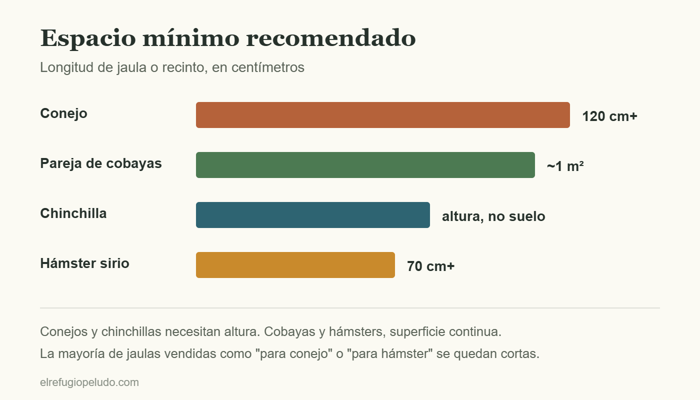 Comparativa del espacio mínimo de jaula por especie