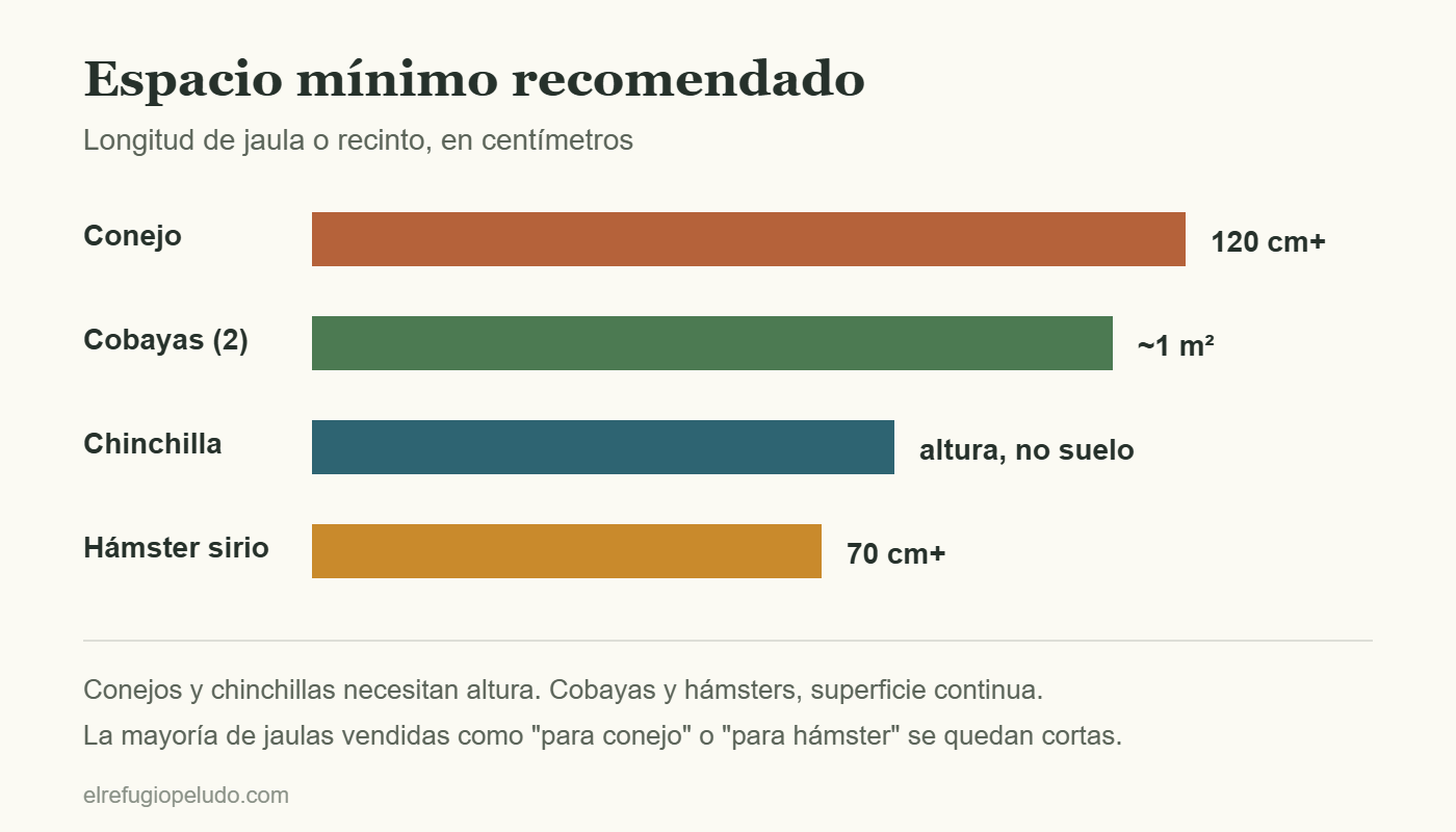 Comparativa del espacio mínimo de jaula recomendado para conejo, cobaya, chinchilla y hámster