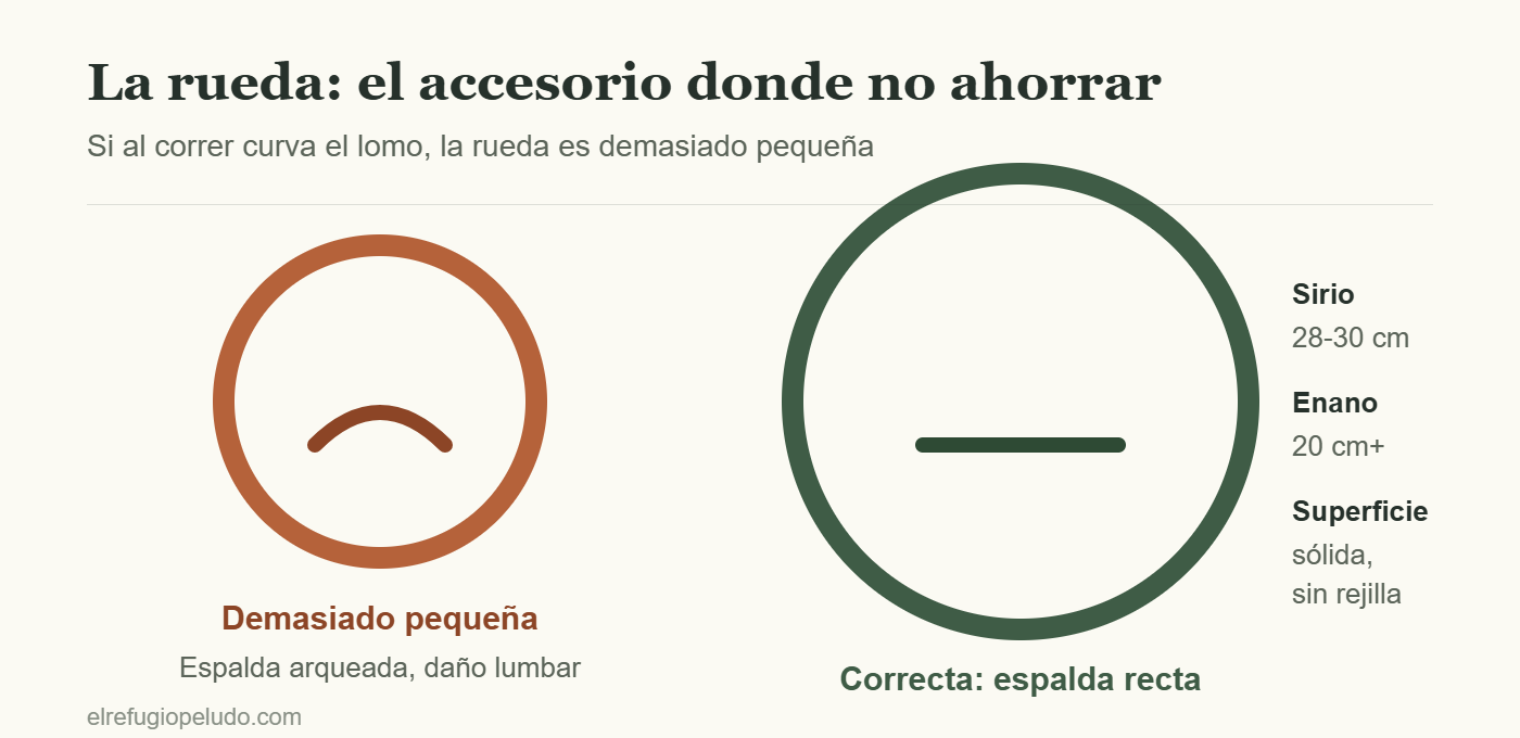 Comparación entre una rueda demasiado pequeña que arquea la espalda y una del tamaño correcto